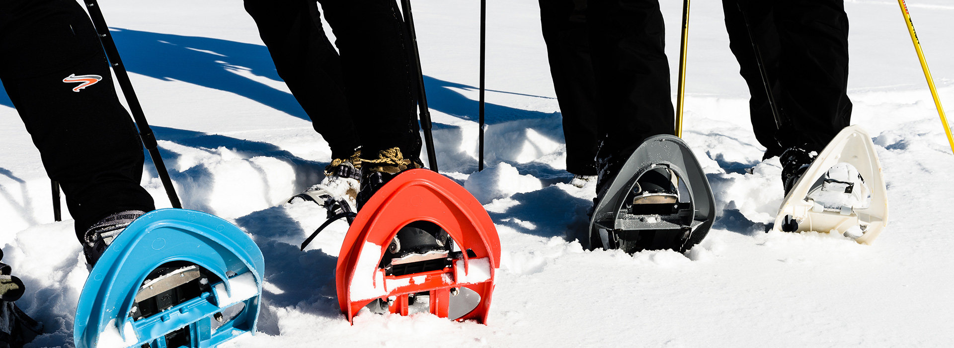Schneeschuhwandern
